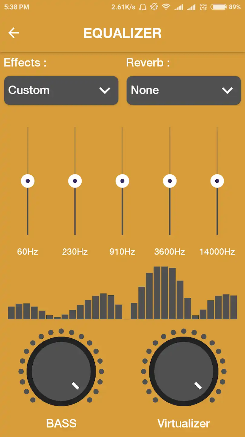 Roar Music Player Apk