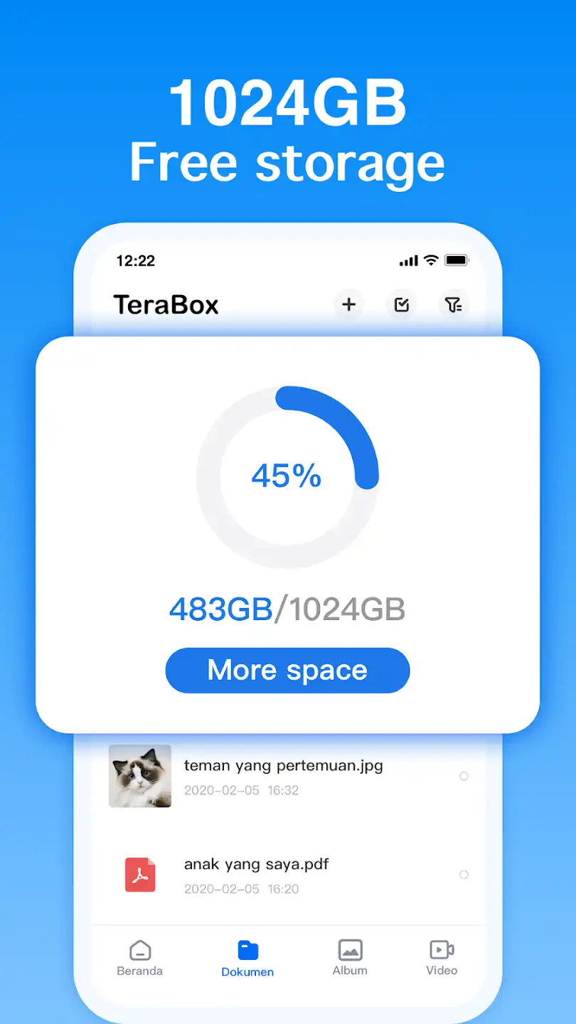 Terabox APK