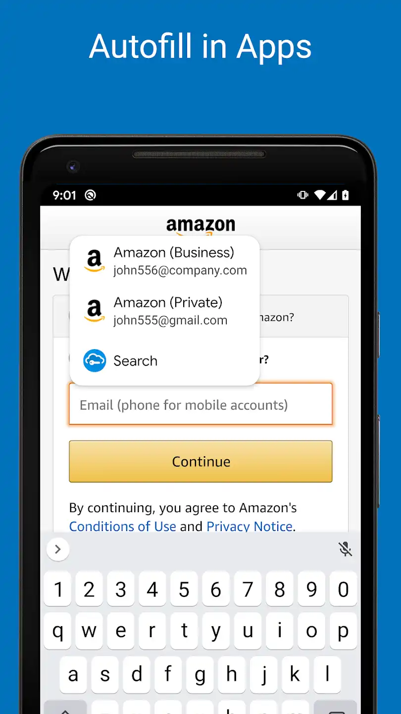 SafeInCloud App