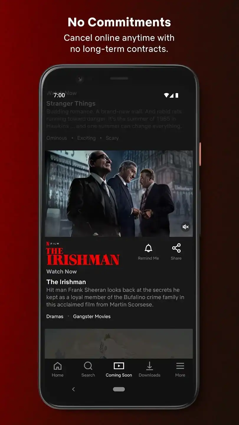 Features of 94fbr Netflix Premium Mod APK