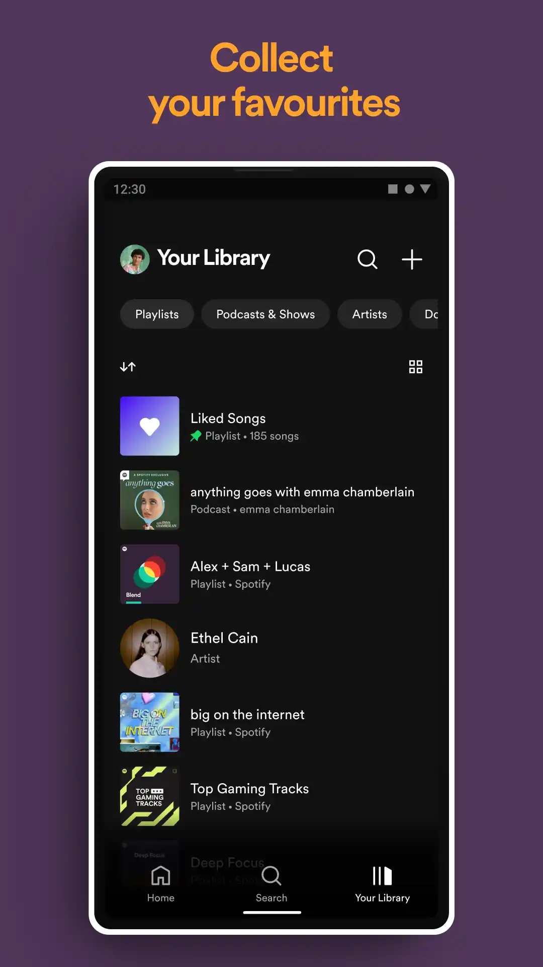 About the Spotify Premium