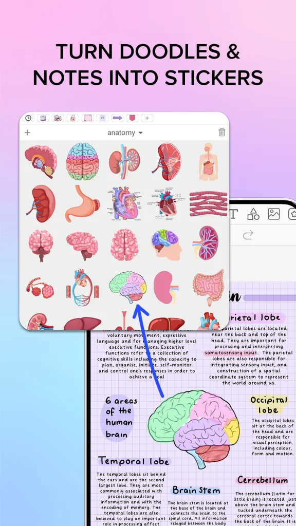 Penly free download for PC